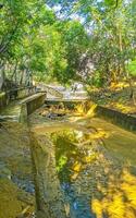 Open sewerage system in the tropical jungle mountains Mexico. photo