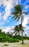 Playa del Carmen Quintana Roo Mexico 2023 Palm beach and ruins in Playa del Carmen Mexico. photo