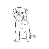 Brussels griffin dog vector sketch