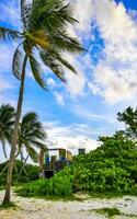 Playa del Carmen Quintana Roo Mexico 2023 Palm beach and ruins in Playa del Carmen Mexico. photo