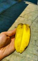 doble plátano dos bananas en uno en el mano México. foto