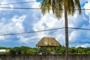 palapa choza casa cabina en tropical selva coba restos México. foto