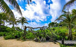 Natural seascape panorama beach view Tulum ruins Mayan site Mexico. photo