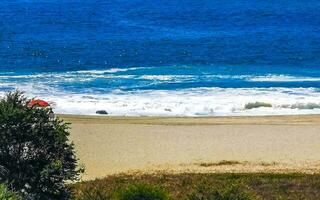 Sun beach sand surfer waves palms in Puerto Escondido Mexico. photo