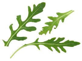 Green leaf of arugula on a white isolated background, ingredient for salad photo