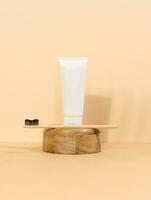 White plastic toothpaste tube and wooden toothbrush photo