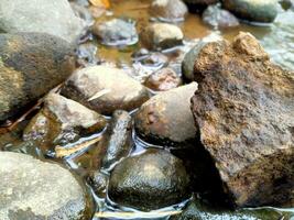 a close up of rocks and water in a stream photo