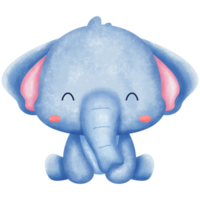 carino elefante acquerello png