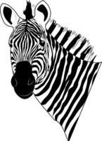 Zebra head. Zebra. Striped horse, African savannah animal, striped skin, linear pattern. Wild animal, cute character. Design of greeting cards, posters, patches, prints on clothes, emblems. vector