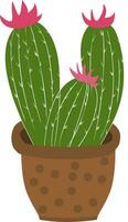 Cactus flower. Cactus in a pot on a white background. The cactus illustration can be used as a print, home or garden decoration. Design of greeting cards, posters, patches, prints on clothes, emblems. vector