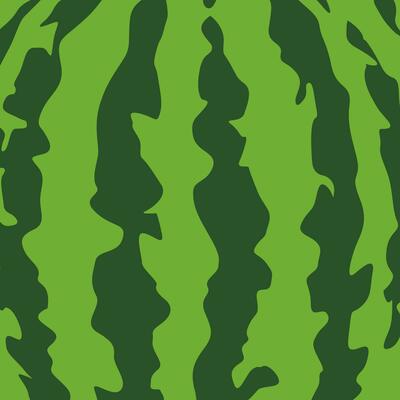 Summer juicy green pattern of watermelon skin. Striped texture water melon rind. Cheerful bright ripe print. Design of greeting cards, posters, patches, prints on clothes, emblems. Watermelon pattern.