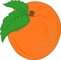 Peach with stem and leaf. Natural product. Healthy eating and diet. Design of greeting cards, posters, patches, prints on clothes, emblems. Juicy peach. vector