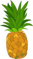 Pineapple with leaves. Pineapple fruits. Pineapple exotic tropical fruit. Natural product. Healthy eating and diet. Design of greeting cards, posters, patches, prints on clothes, emblems. vector