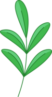 Green Leaf Icon png