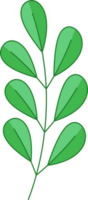 icono de hoja verde png