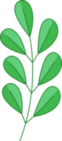 icône de feuille verte png