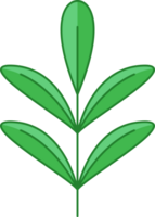 Green Leaf Icon png