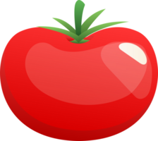 linda ilustración de tomate png