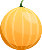 söt cantaloupmelon illustration png