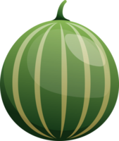 süß Melone Obst Illustration png