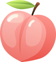 Cute Peach Illustration png