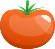 Cute Tomato Illustration png