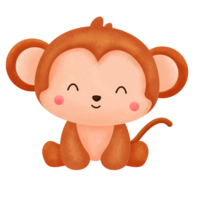 Cute Monkey Animal Watercolor png