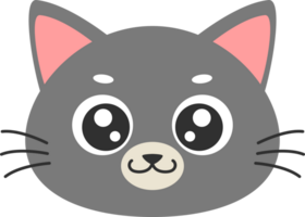 illustrazione di faccia di gatto carino png