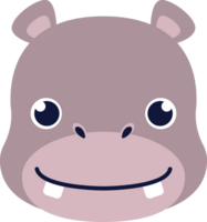 Hippo Animal Head png