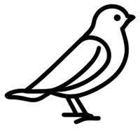 cute outline bird png