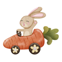 Rabbit driving carrot car png