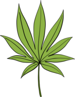 desenho à mão livre de folha de cannabis de simplicidade png
