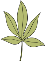 dessin à main levée feuille de cannabis simplicité png