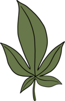 dessin à main levée feuille de cannabis simplicité png