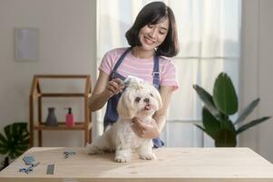 Female professional groomer trimming haircut and combing dog fur at pet spa grooming salon photo