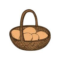 Basket with chicken eggs sketch hand drawn vector illustration. Design element for Easter, sale eggs, poultry farm, foods. Rustic motif for print, card, paper, flyer, template, packing