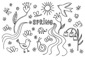 Spring ink sketch hand drawn doodle with stream, bird, blooming plants, flowers, ladybug, chicken, sun, snail, butterfly, grass, lily valley,vernal wild live. Design background for print, paper, card vector