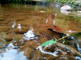 a close up of rocks and water in a stream photo