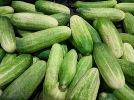 background of piles of green cucumbers photo