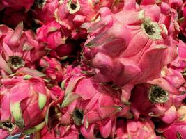 dragon fruit stack background photo