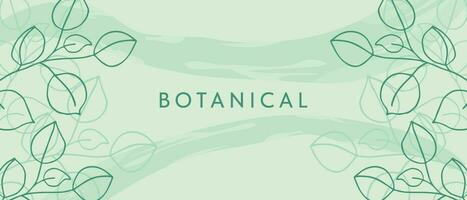 Botanical background with plants of soft green color. Floral background. vector