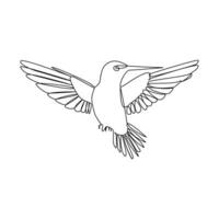 Humming bird continues single line art and outline vector illustration on white background and minimal