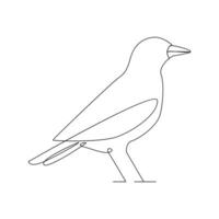 Bird continues single line art and outline vector illustration on white background and minimal