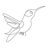 Humming bird continues single line art and outline vector illustration on white background and minimal