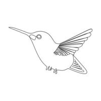 Humming bird continues single line art and outline vector illustration on white background and minimal