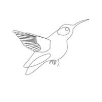 Humming bird continues single line art and outline vector illustration on white background and minimal