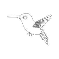 Humming bird continues single line art and outline vector illustration on white background and minimal