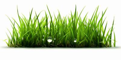 AI generated Fresh Green Grass Isolated on White Background. Generative AI photo