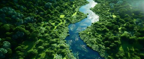 ai generado aéreo ver de verde bosque y río. generativo ai foto