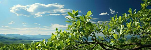 AI generated Fresh Green Leaves with Cloudy Blue Sky View. Generative AI photo